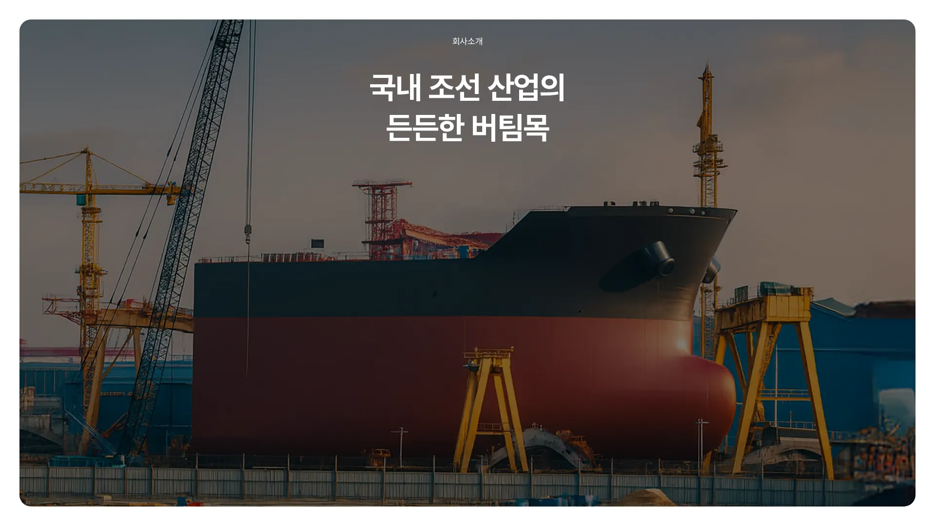 HD현대M&S 회사 소개 섹션