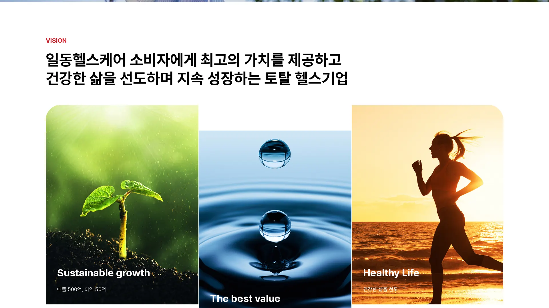 일동헬스케어 회사 소개 섹션