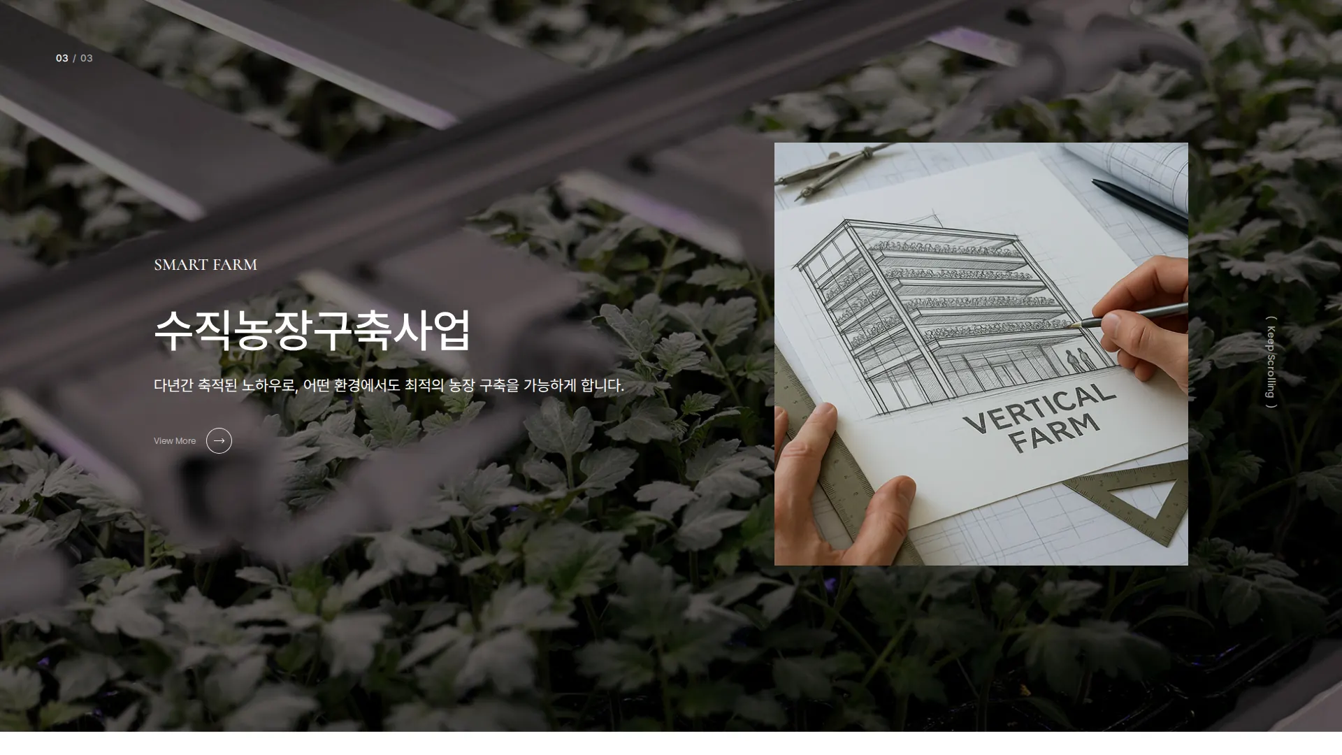한국표준육묘 서비스 소개 섹션