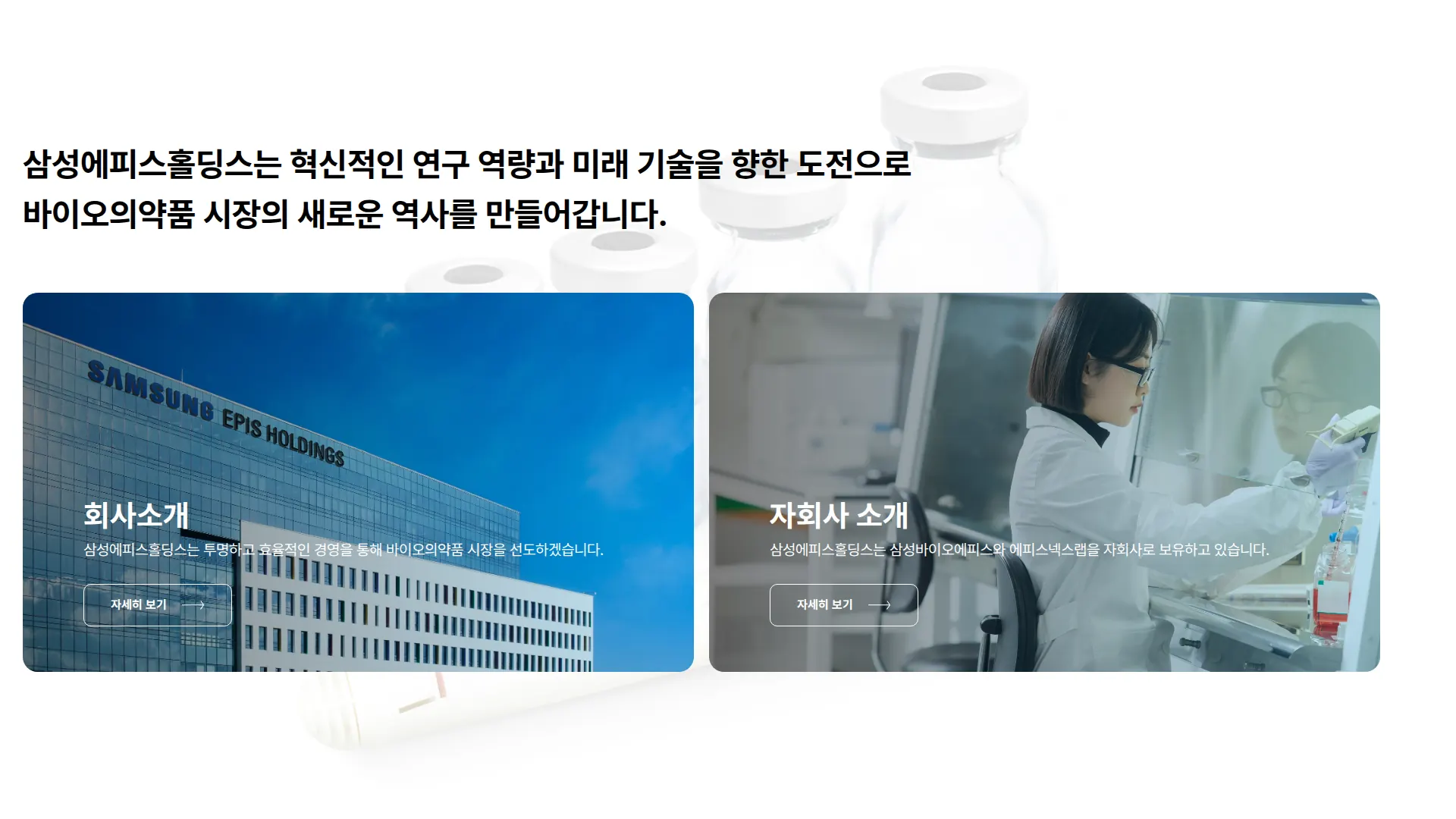 Samsung Epis Holdings 회사 소개 섹션