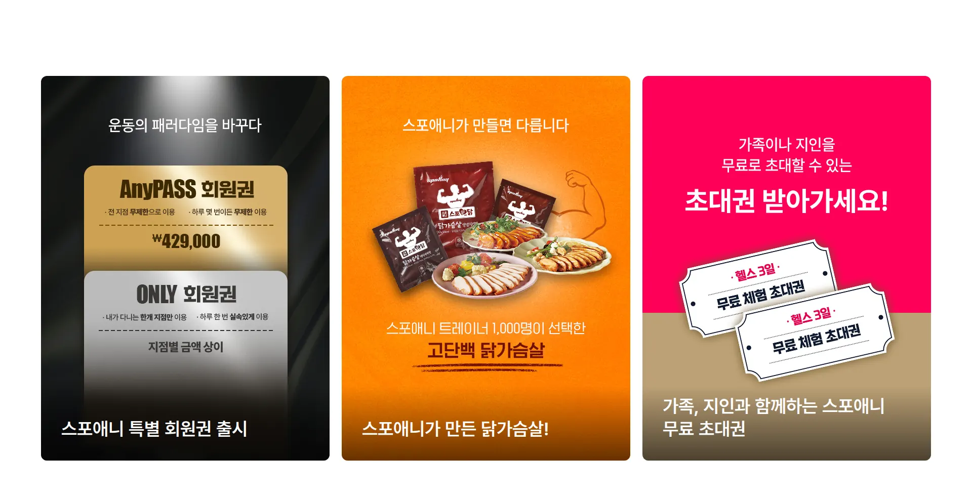 스포애니 spoAny 이벤트·프로모션 섹션