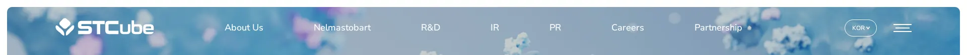 에스티큐브 헤더 섹션