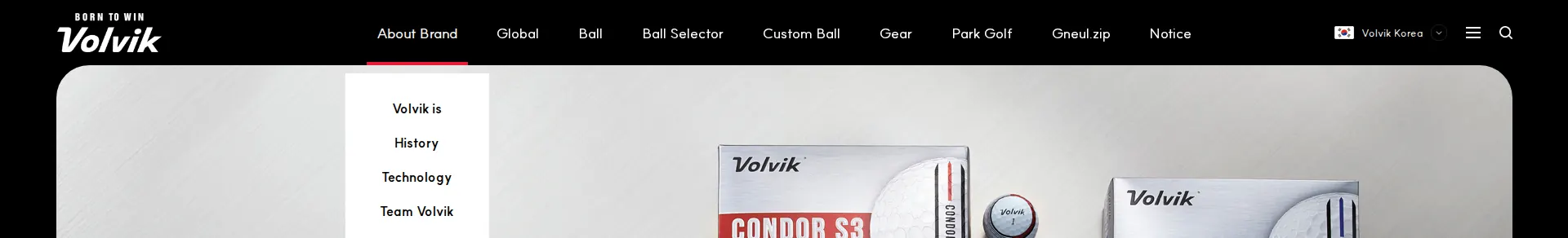 Volvik 헤더 섹션