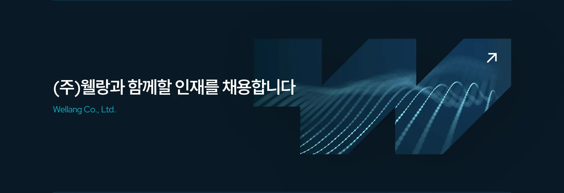 웰랑 채용 섹션